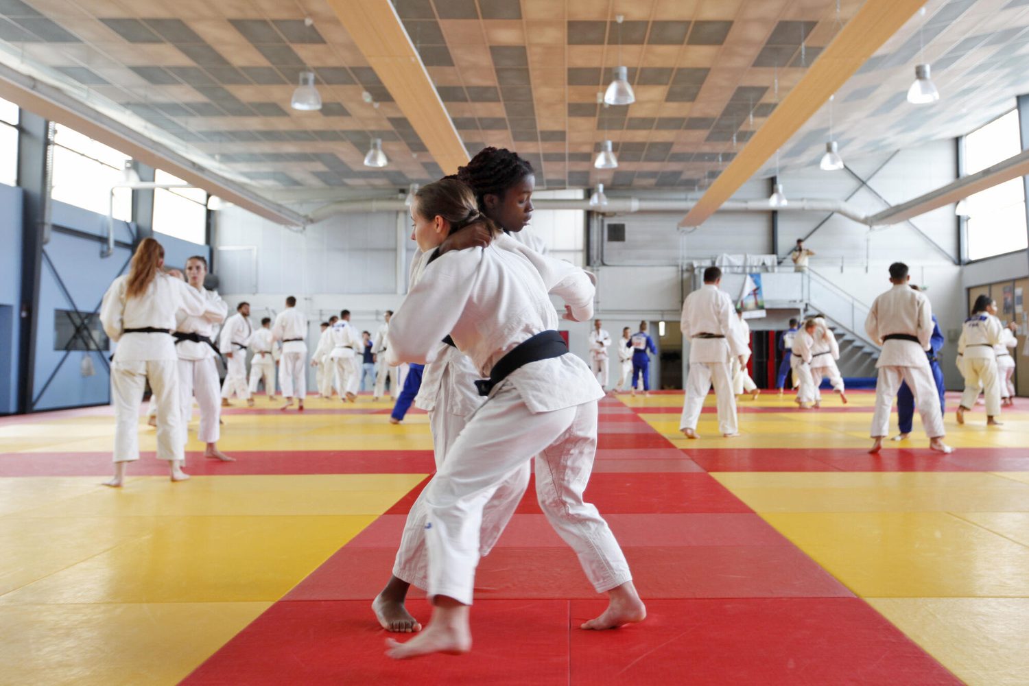 Démonstration de projection au dojo